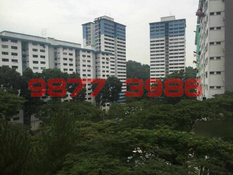 Blk 14 Telok Blangah Crescent (Bukit Merah), HDB 5 Rooms #107256092